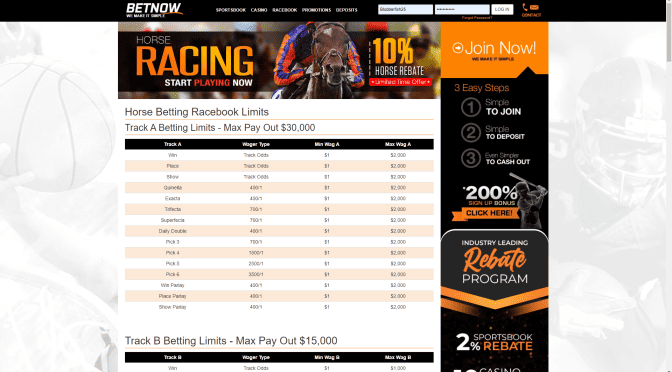 BetNow Horse Racing Rebate weekly 10% rebate offer