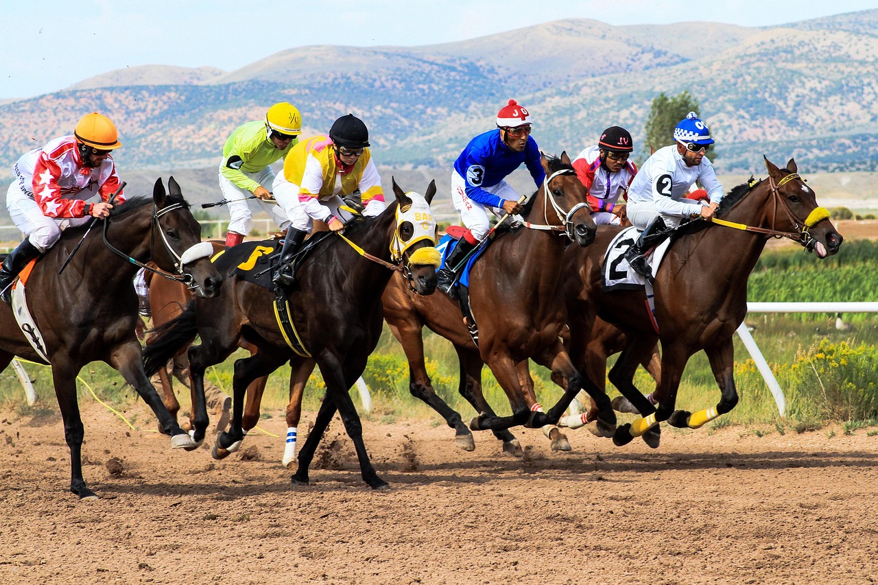 Should a Bettor Cash Out a Bet or Let It Ride?